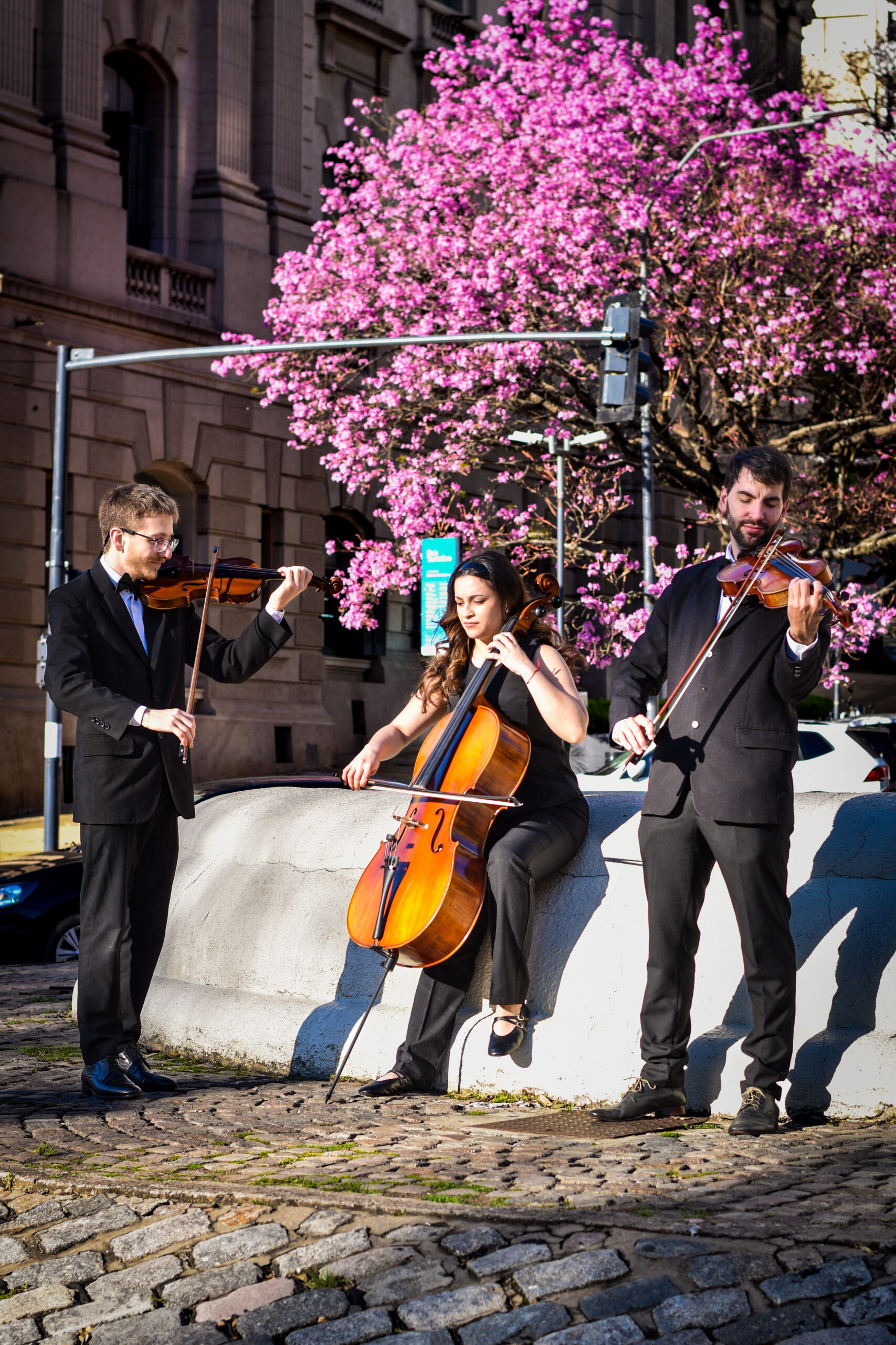 Wood and Waves String Trio tocando en Rosario